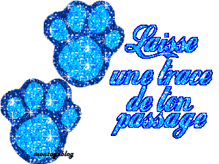 laiisse ta trace 